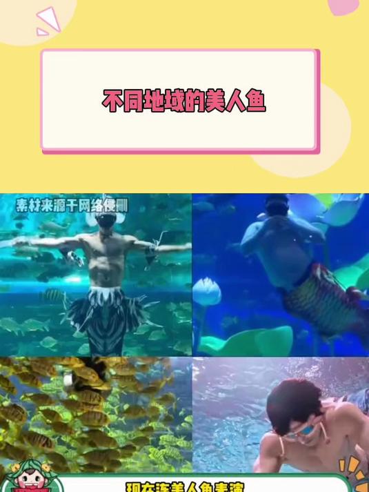 不同地域的美人鱼