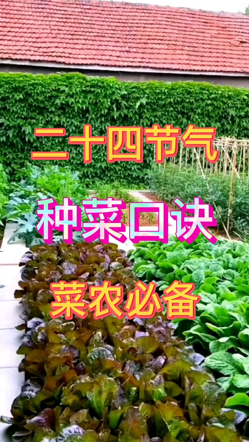种菜口诀,什么时候种什么菜。