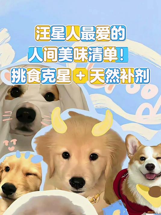 宠物医生都推荐的狗狗 “黄金食谱”!