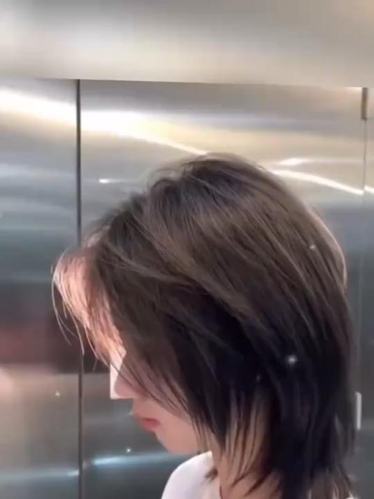 学生头,狼尾鲻鱼头