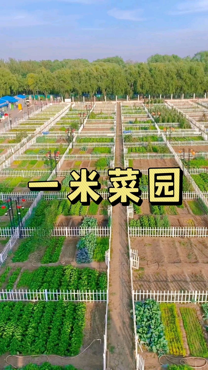 一米菜园,你的农庄有吗?