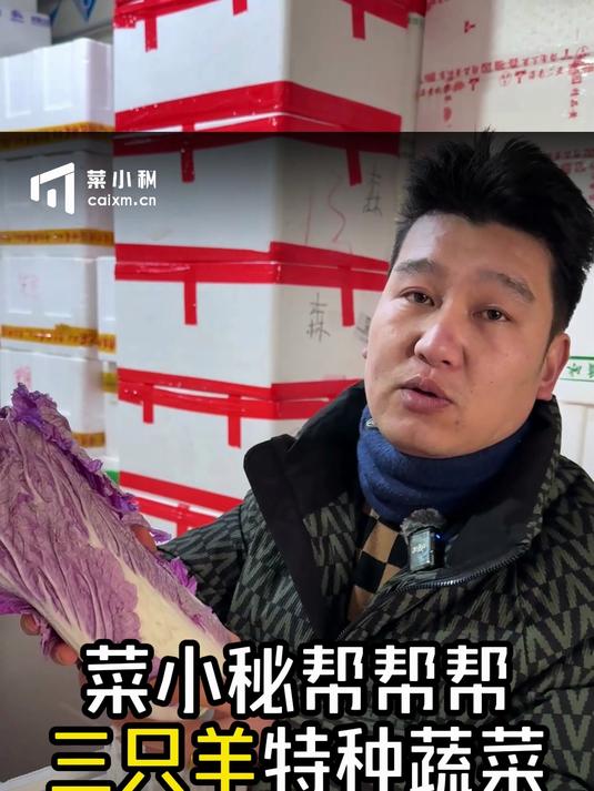 菜小秘帮帮帮带你看特菜档口！