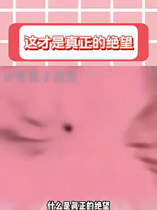 世界上最命苦的博主出现了