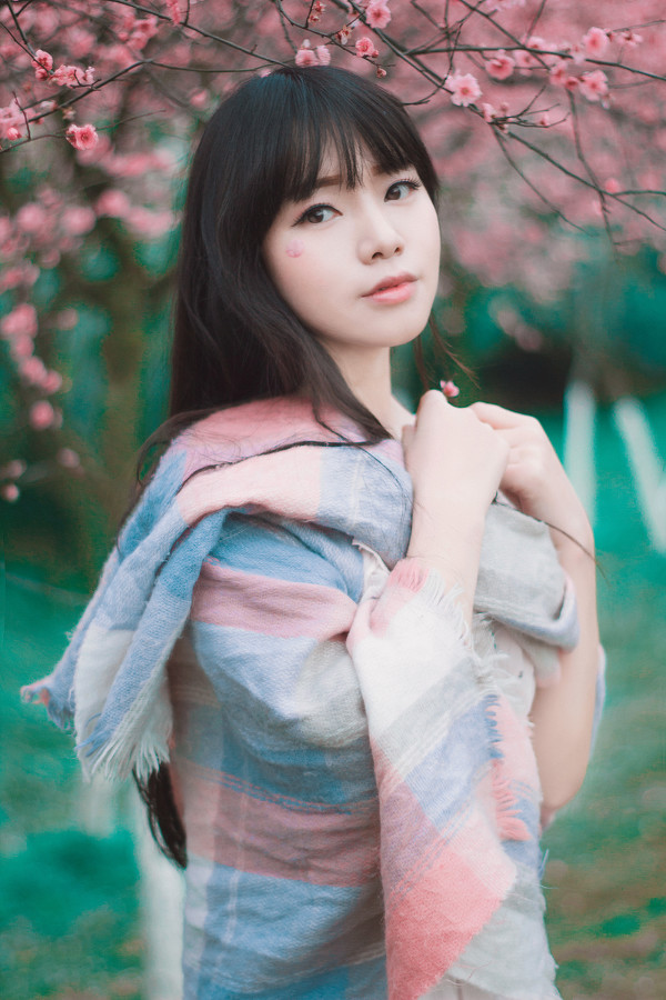 图片[2]-少女与樱-六色网