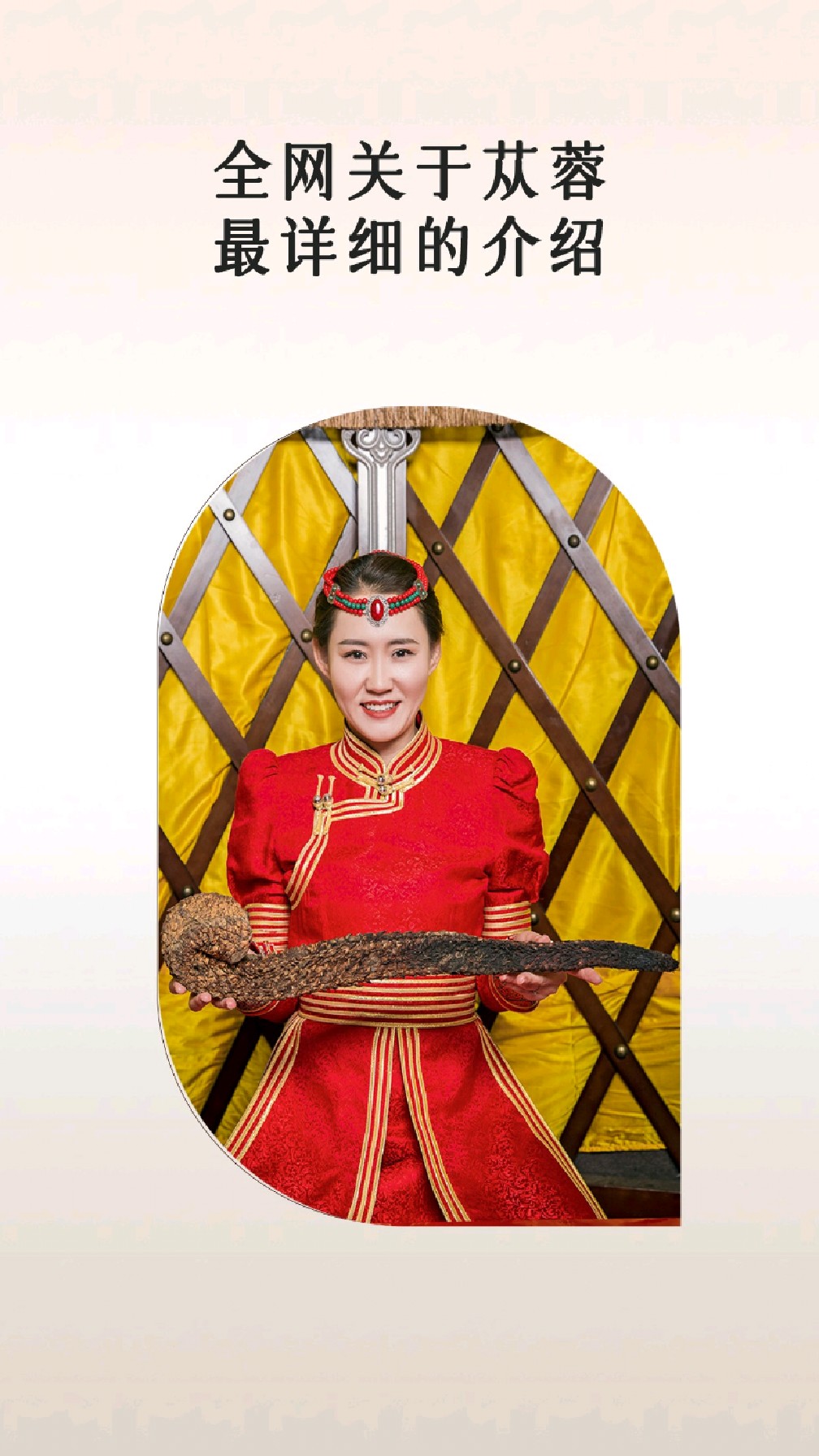 全网关于苁蓉最详细的介绍!先点赞收藏!需要的时候会节省很多钱