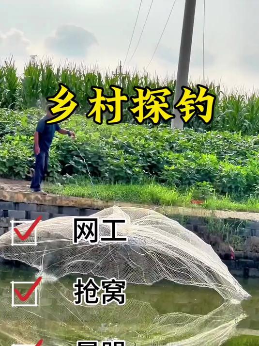 各种不讲武德，正宗纯野生黄河小鲤鱼，要不是大哥那几网我还能钓