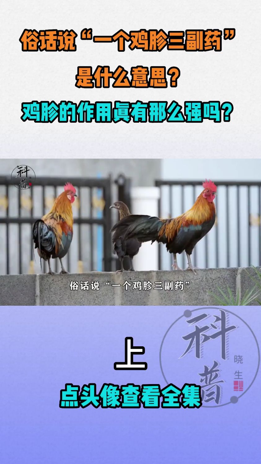 俗话说“一个鸡胗三副药”,是什么意思?鸡胗的作用真有那么强吗 ?