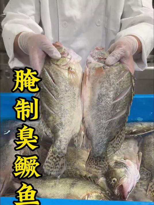 臭鳜鱼的正宗腌制方法！这个方法是20年前和徽菜师傅学的， 味道很正宗得到了很多食客的认可