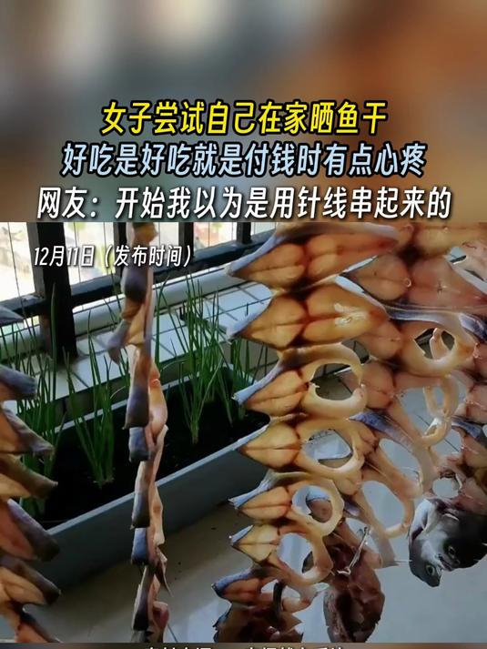 女子尝试自己在家晒鱼干,好吃是好吃就是付钱时有点心疼