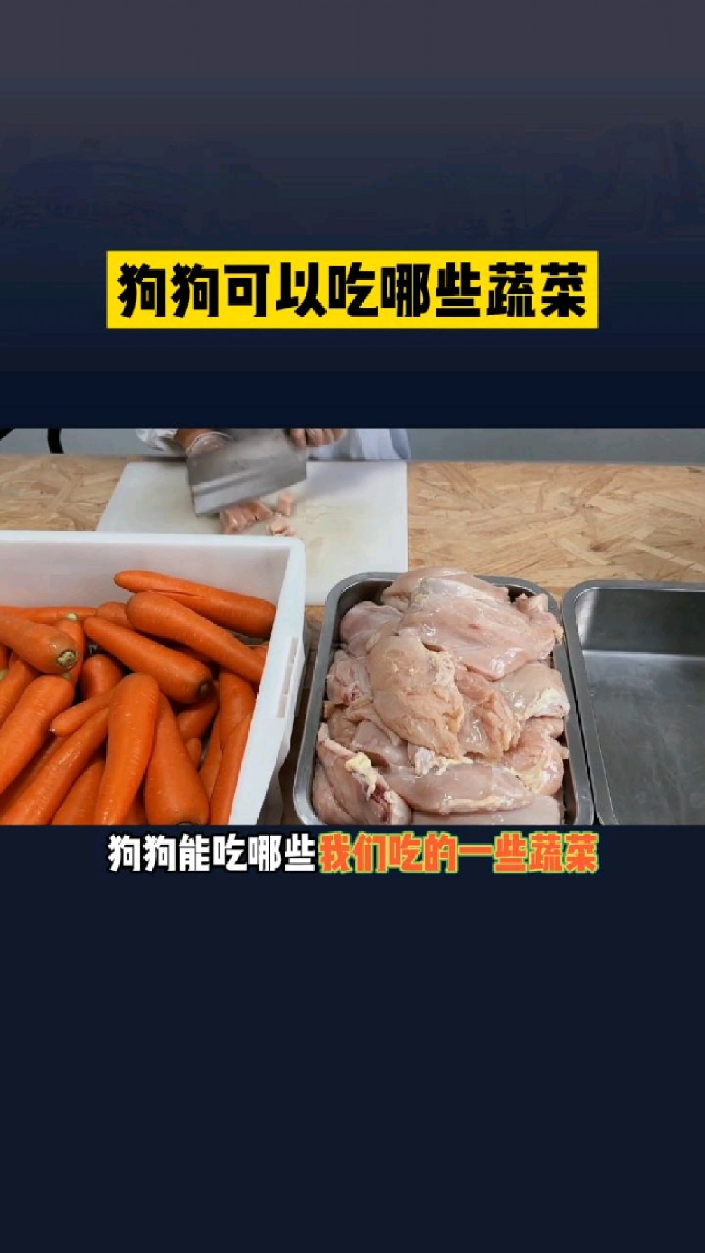 狗狗可以吃的蔬菜