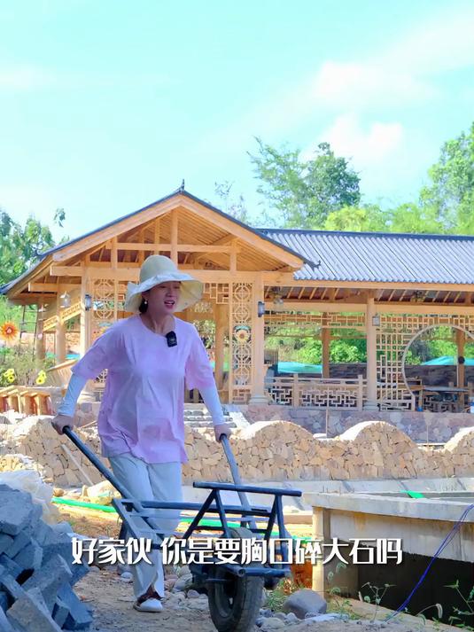 普普通通的石头，围着鱼池摆出来会这么好看