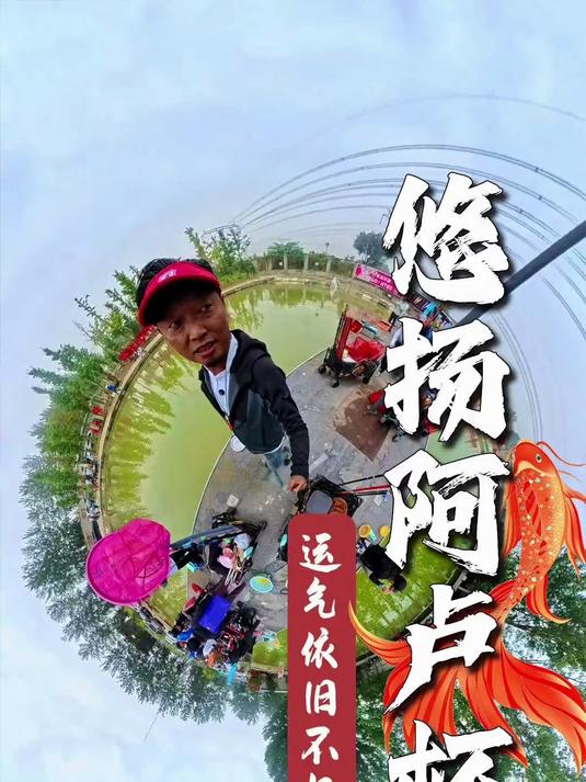 耍个鲫鱼无线回锅，天凉鲤鱼不好钓，盘盘顿口黄金鲫鱼的无限回锅