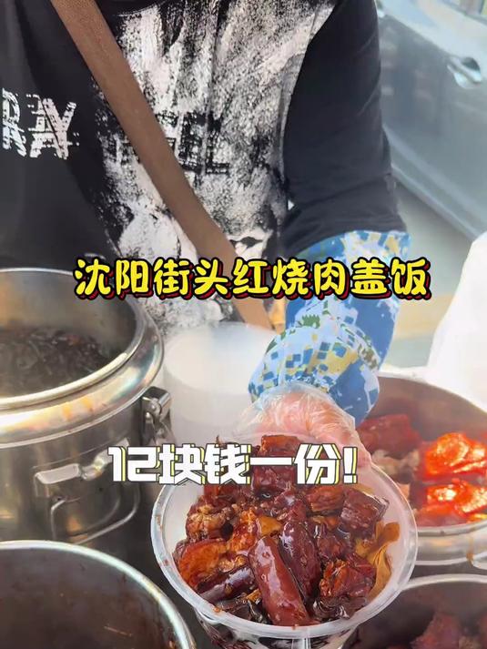 沈阳街头红烧肉盖饭12一份你们觉得值不值?