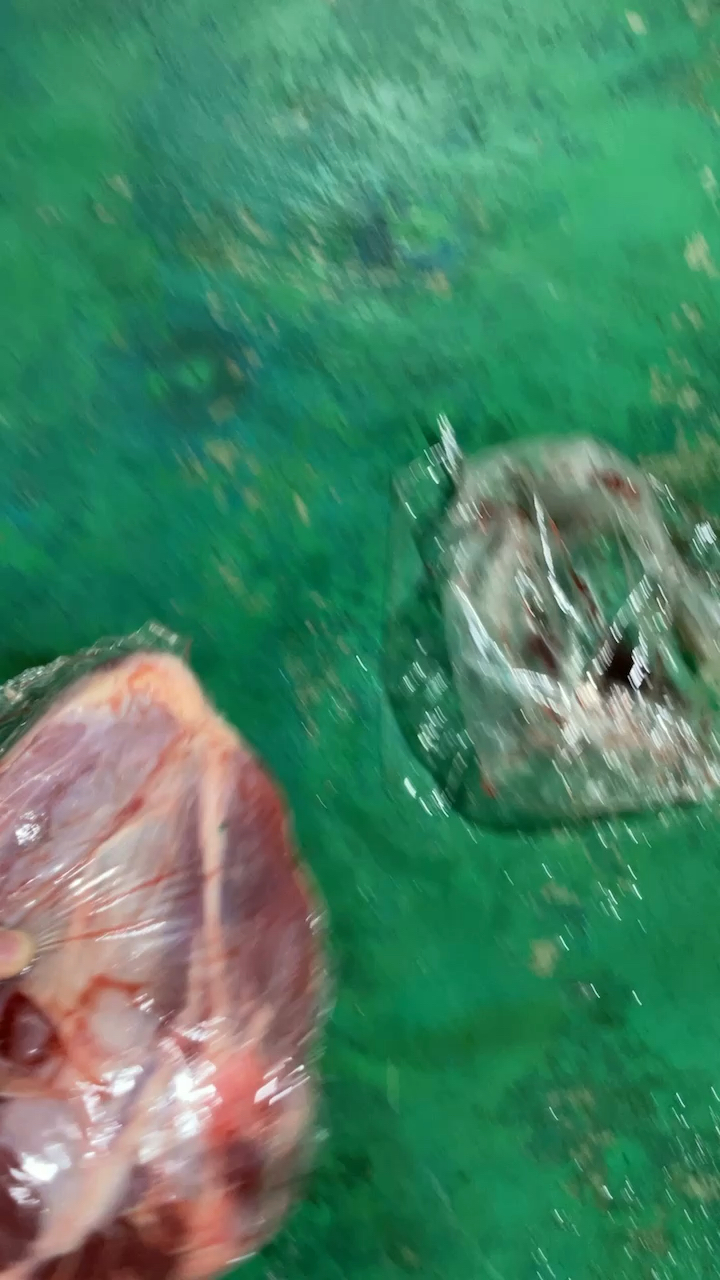 进口牛肉解冻实拍