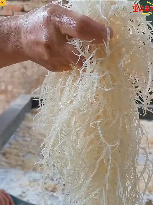 像树根的蔬菜龙须菜