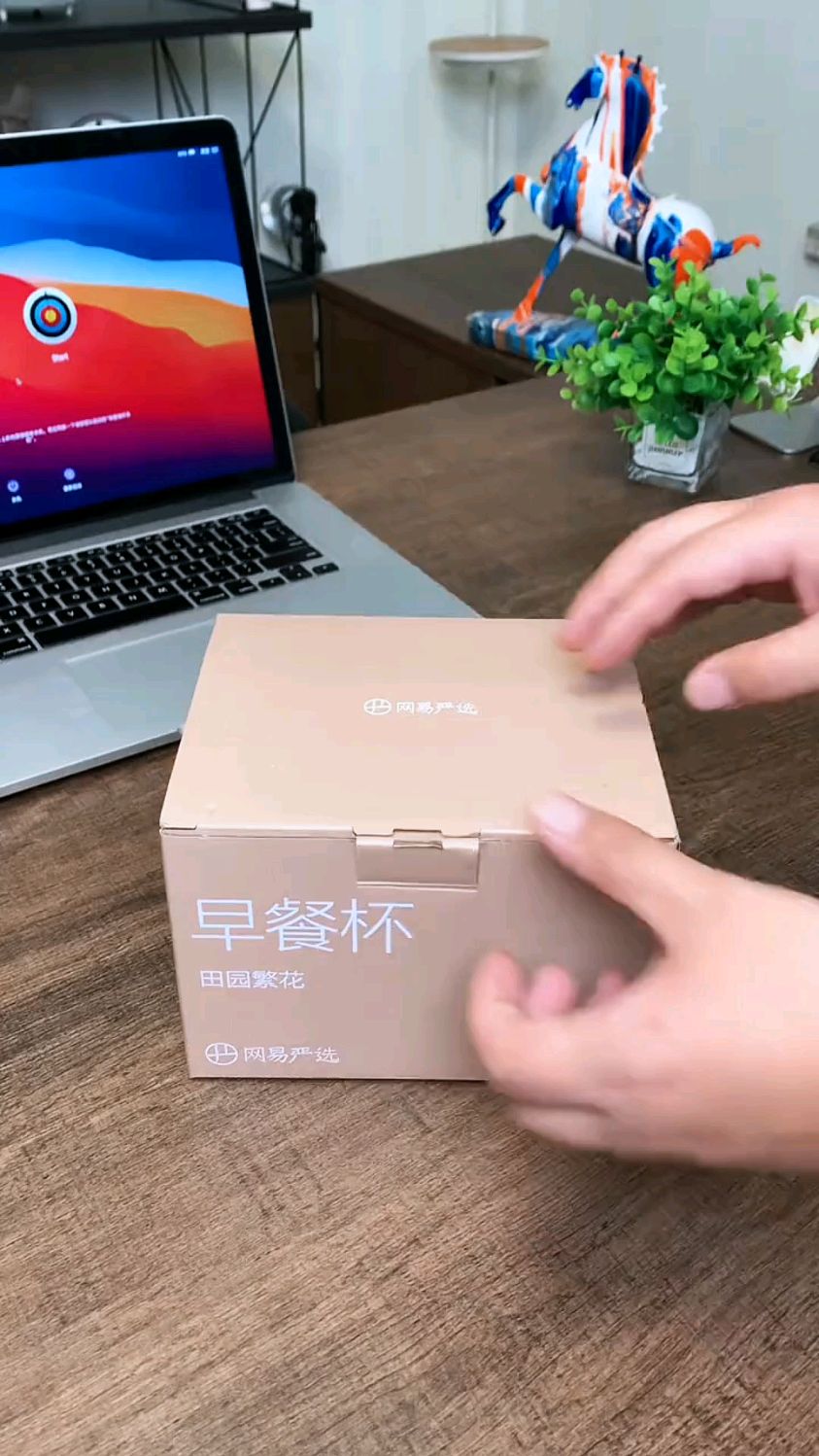 大容量早餐杯的,冲个牛奶泡个燕麦非常方便,关键田园手绘的图案非常有质感!