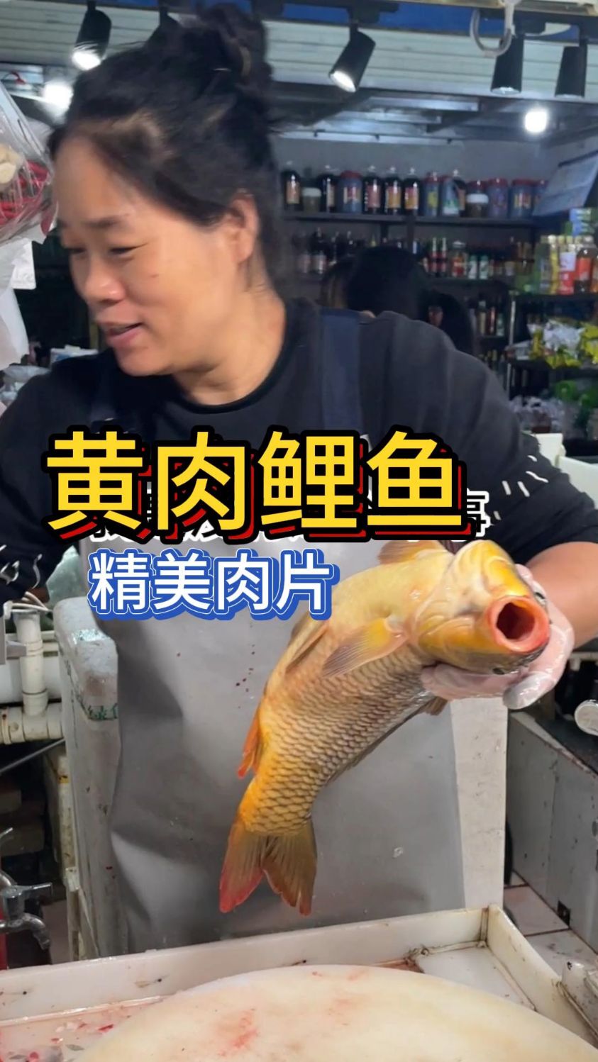 黄肉鲤鱼看外表就知道黄不黄?来看这条算不算黄肉鲤鱼