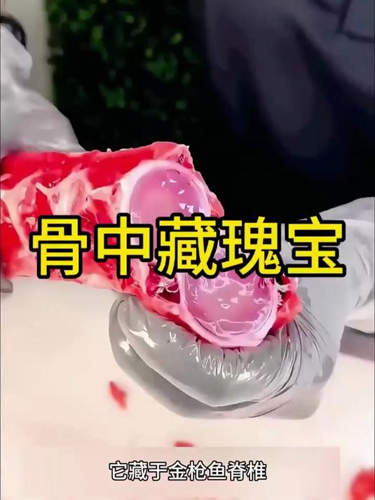 金枪鱼骨髓,大家有没有吃过呢?