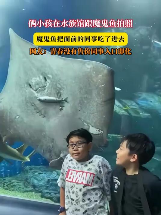 俩小孩在水族馆跟魔鬼鱼拍照,魔鬼鱼把面前的同事吃了进去,网友:青春没有售价同事入口即化