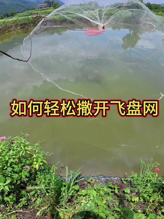 飞盘撒网详细的教学视频,撒网的正确打开方式
