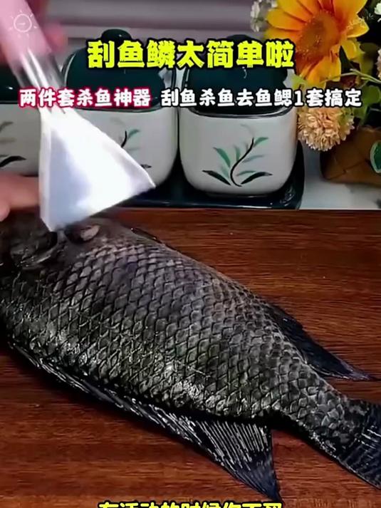 用这个鱼鳞刮,刮鱼鳞也太简单啦,不会杀鱼的女生也能轻易上手
