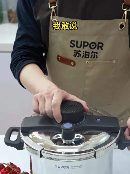 高压锅密闭性强,炖煮肉类快速软烂,节省烹饪时间家用聚餐更高效