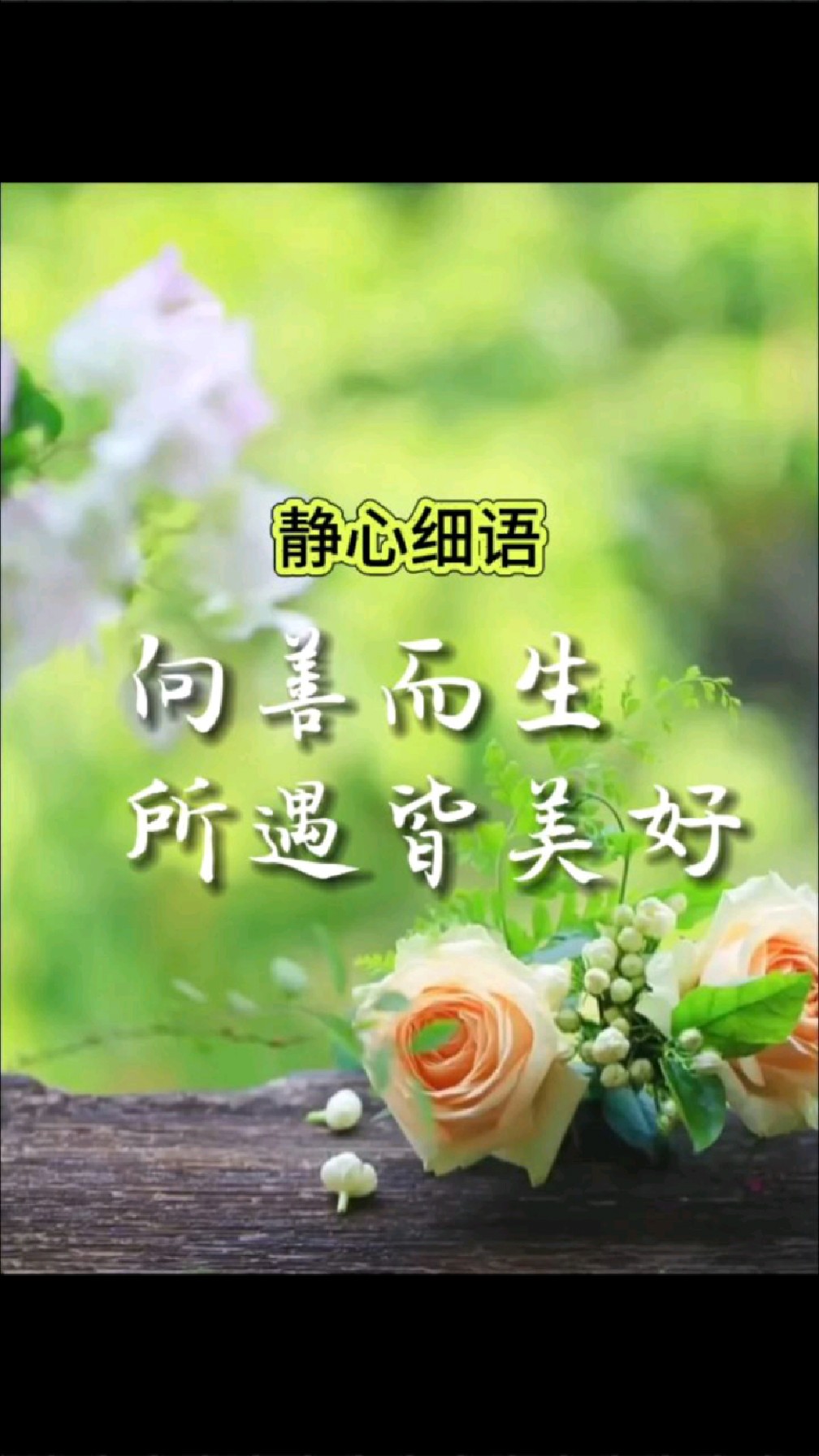向善而生所遇皆美好
