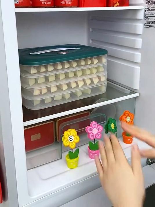 包饺子太多没地装?试试这个多层饺子盒 想装多少装多少!