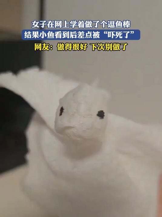 女子在网上学着做了个逗鱼棒,结果小鱼看到后差点被“吓死了”