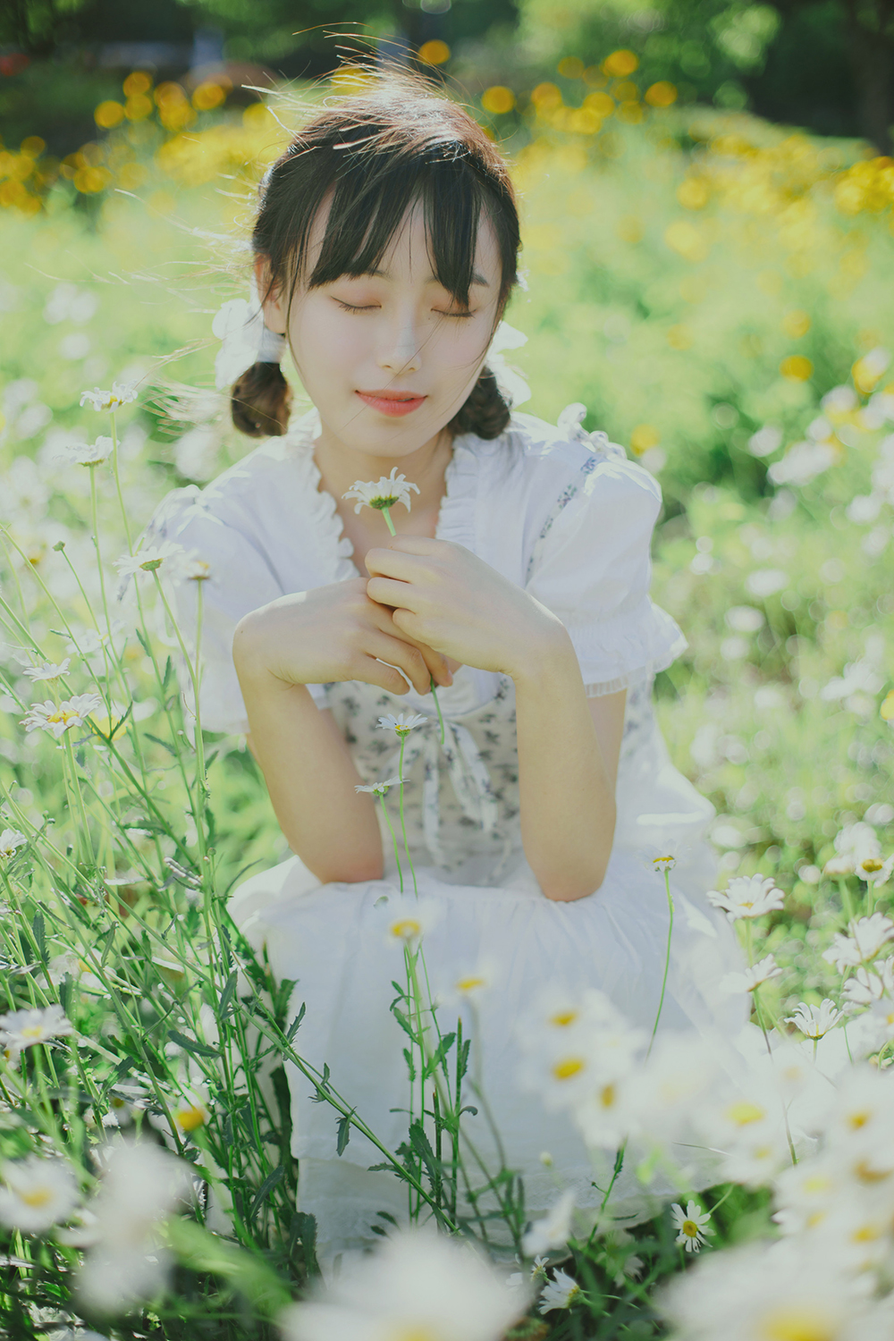 图片[3]-初夏の小雏菊Ⅱ-六色网