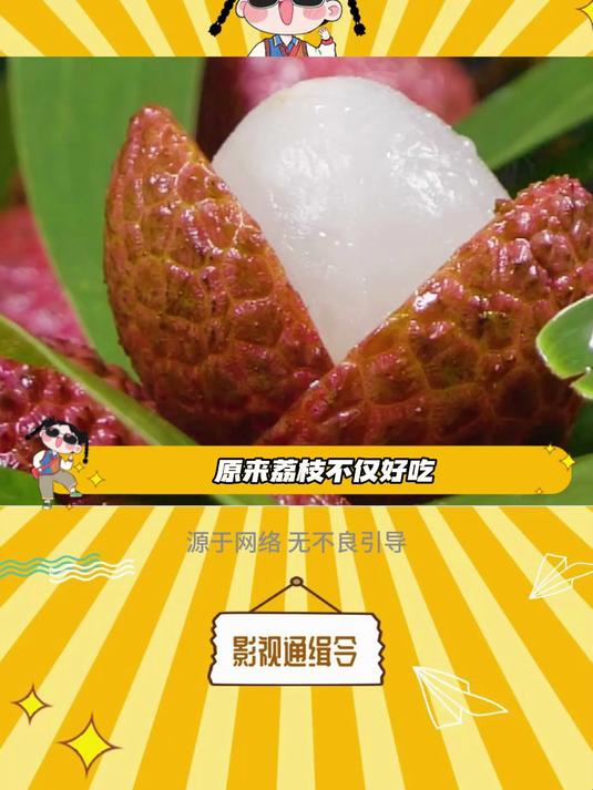 我的朋友一定会为我种一棵荔枝盆栽的!