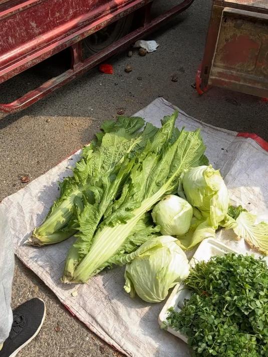 江西开胃名小吃临川菜梗脆嫩爽口！