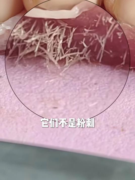 《猪肉里这些白色丝状物是什么?》《新物种螳螂开花?》