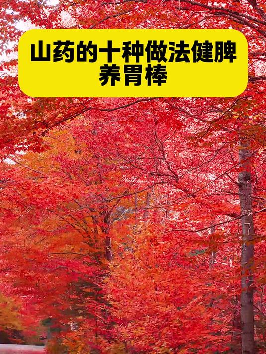 山药的十种做法健脾养胃棒