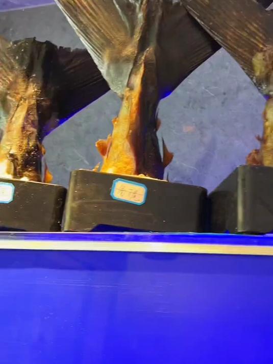 你们喜欢吃日料吗