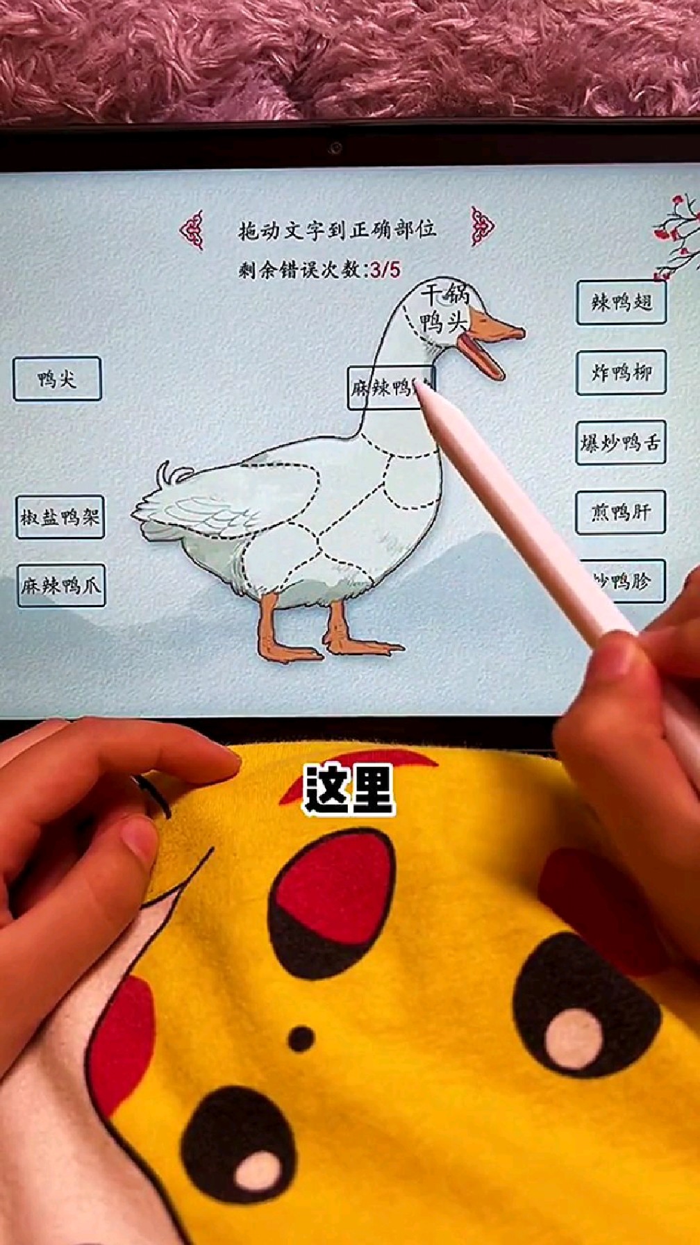 鸭尖到底是个啥东西