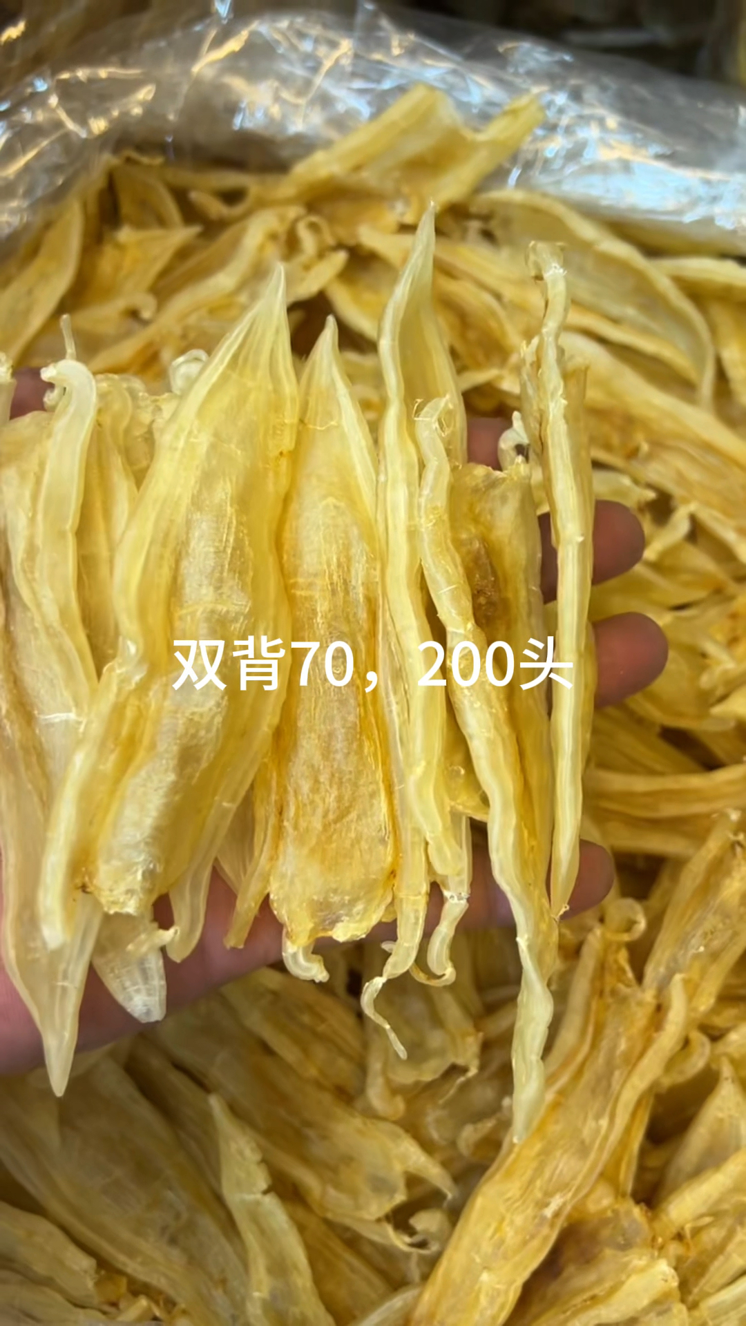 葫芦尾,鸭包筒,咸水筒,淡干雪鱼胶,巴西大耳,咸水筒,佐罗条,安南片,阴阳条