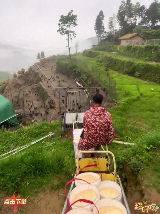 散养绿壳乌鸡蛋特别适合家里人吃,老人小孩孕妈妈都可以放心吃!