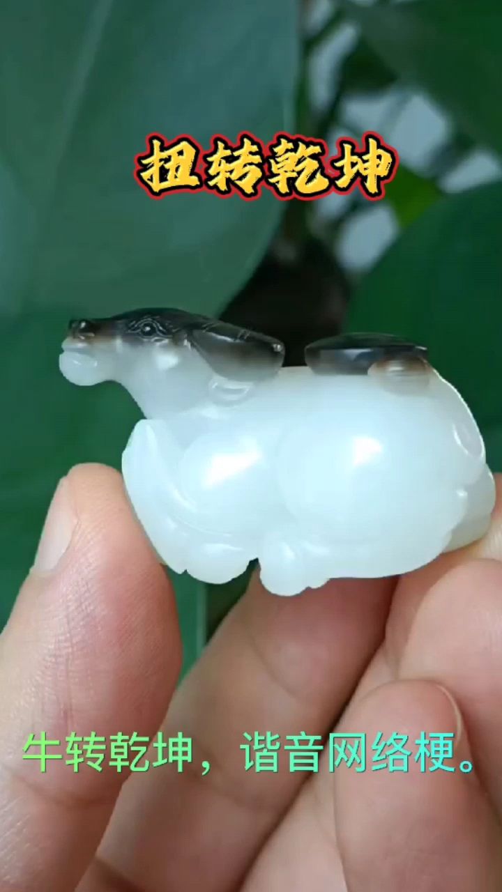快来看看,牛背阴阳鱼,啥意思?