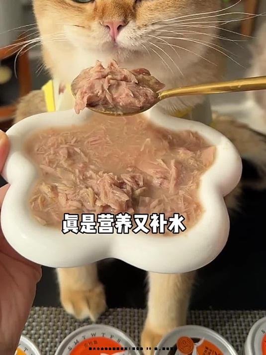 猫大力金枪鱼罐超划算!两位数 30 罐,猫咪狂炫