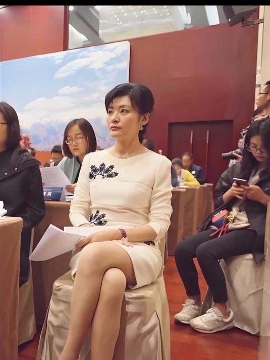 美女主持人周涛肉色丝袜美腿照片精选