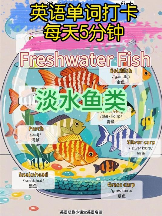 英语单词打卡淡水鱼!
