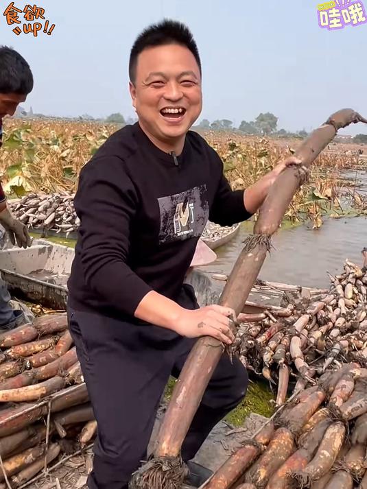 脆嫩莲藕,凉拌清炒都好吃!