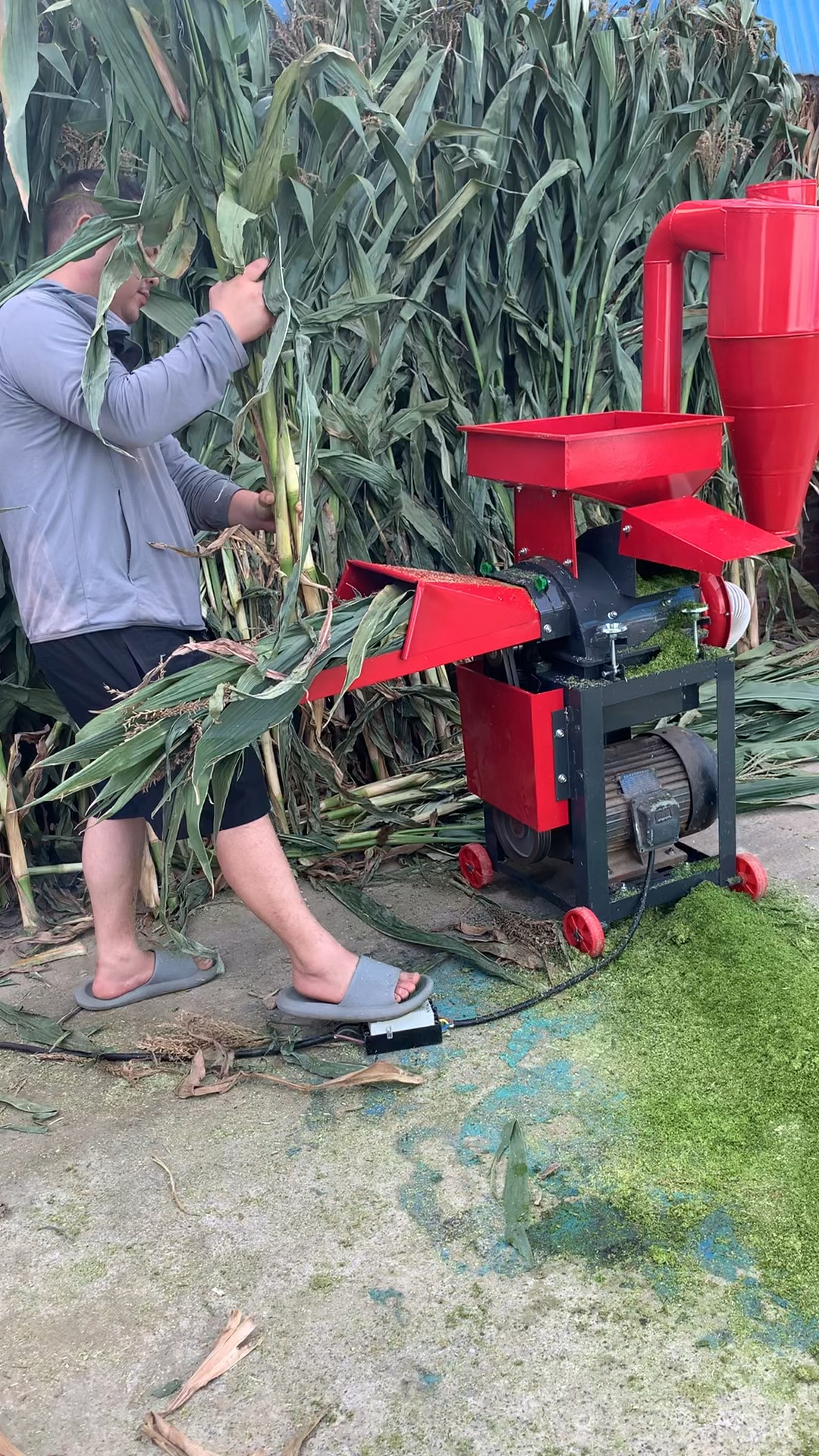 第6代养猪神器家用小型超细牧草打浆机适合养猪鸡鸭鹅鸵鸟兔可以粉碎青草干草五谷杂粮