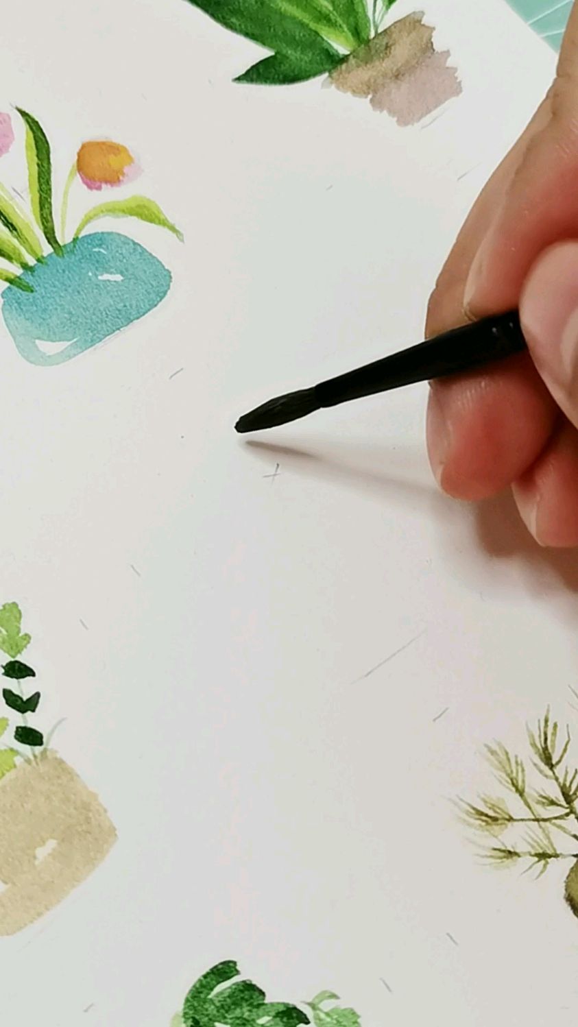 画个水彩的多肉植物