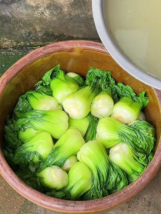 今天我们来腌上海青，一个晚上就能腌好，颜色金黄，口感酸辣脆爽