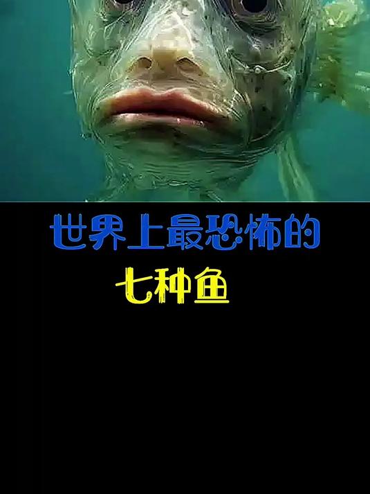 世界上最恐怖的七种鱼