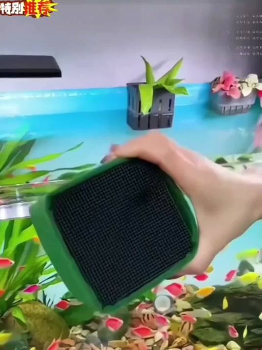 新手养鱼必备:鱼缸过滤用啥?活性炭还是净水魔方?