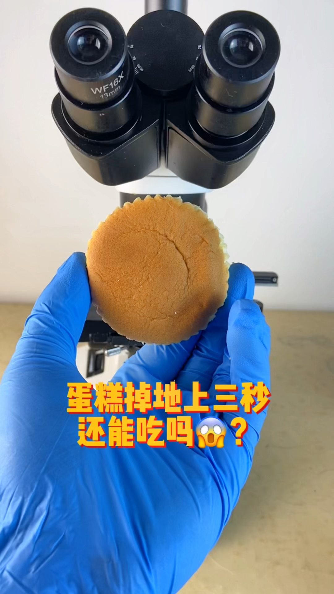 掉在地上不超过三秒的蛋糕放大160倍,看看是什么样的