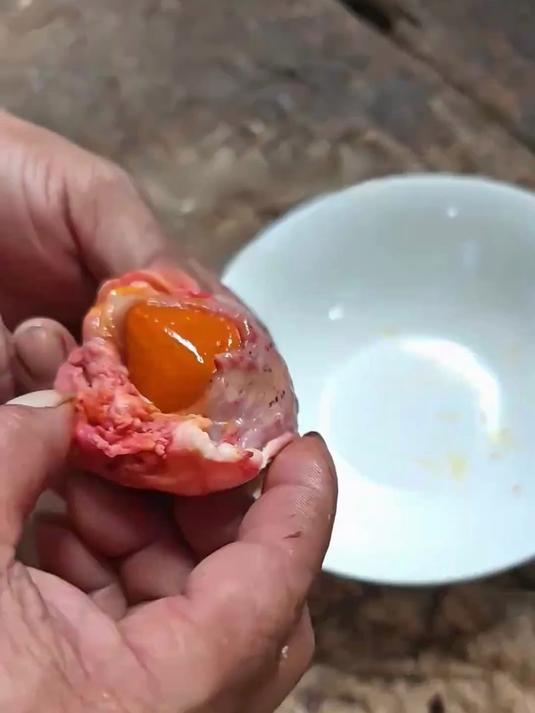 带你认识9种珍贵的“憋宝”，快看看你家里有吗？